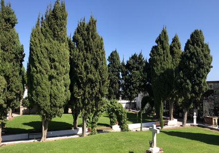 This image for Image Layouts addon